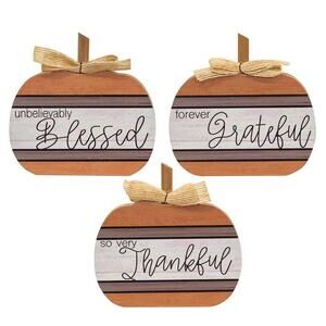 The Hearthside Collection - Autumn Blessings Chunky Pumpkin